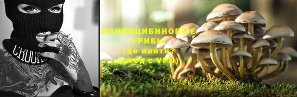 каннабис Кукмор