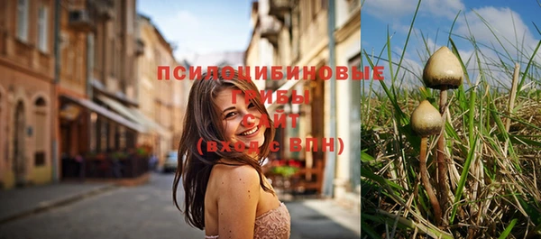 прущие крисы Краснотурьинск