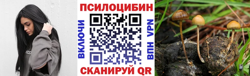 Галлюциногенные грибы прущие грибы Балтийск