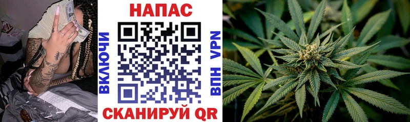 Бошки Шишки SATIVA & INDICA Балтийск